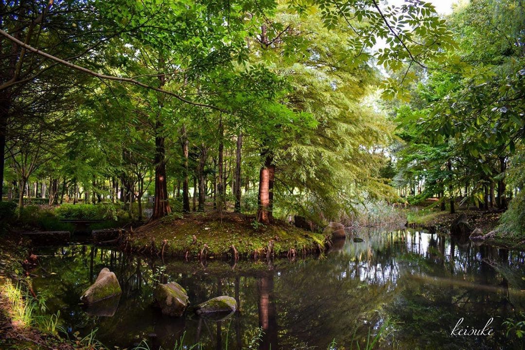 【極上美品】SIGMA 10-20mm F3.5 EX DC HSM Nikon