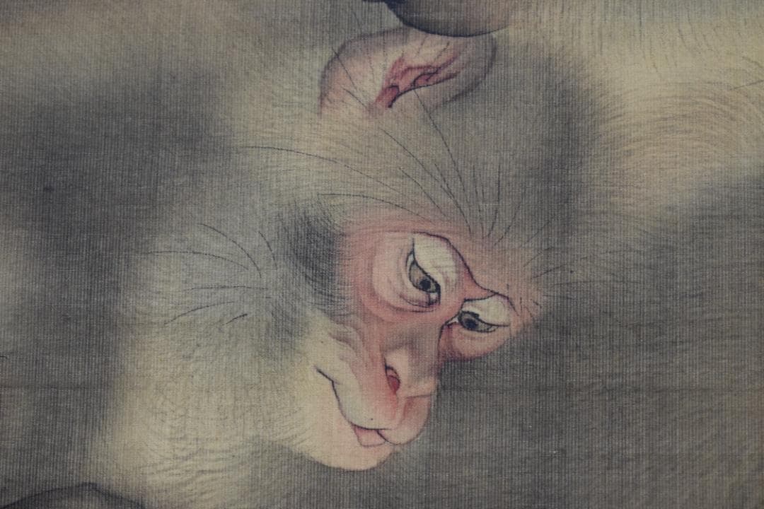 【真作】森祖仙/森狙仙/親子猿之図/掛軸☆宝船☆Y-896　JM