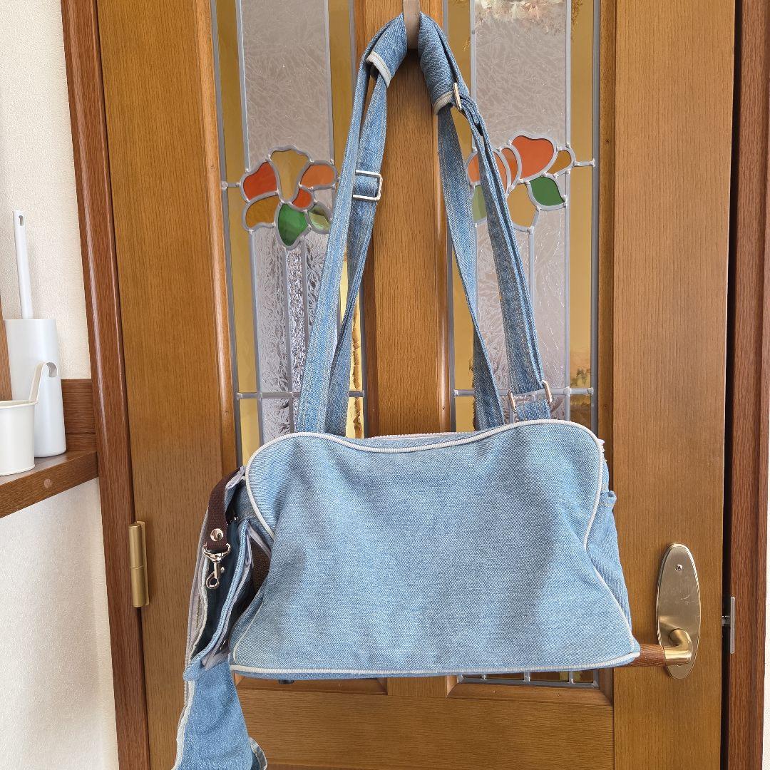 ペットキャリーバッグ　 ルシアンエサヨ Mサイズ 美品