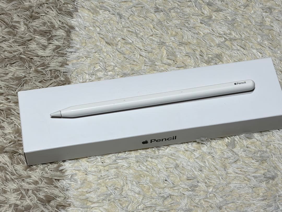 Apple iPad Pro 11インチ 第2世代 128GB Wi-Fi