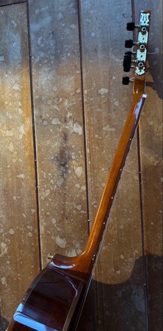 エレガット Playtech ECL-200