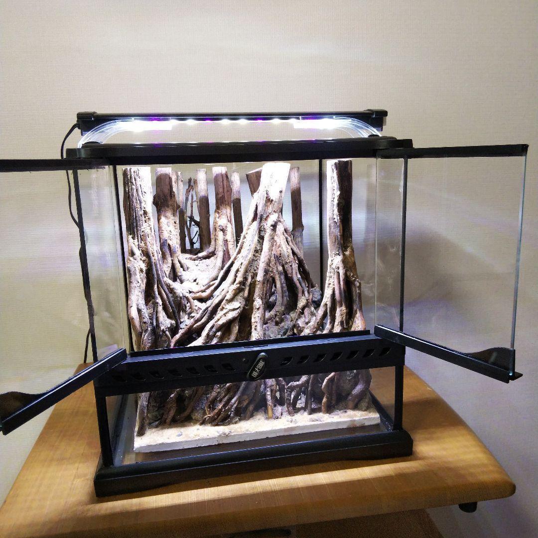 【受注生産】グラステラリウム3030　イモリウム　苔テラリウム　アクアテラリウム