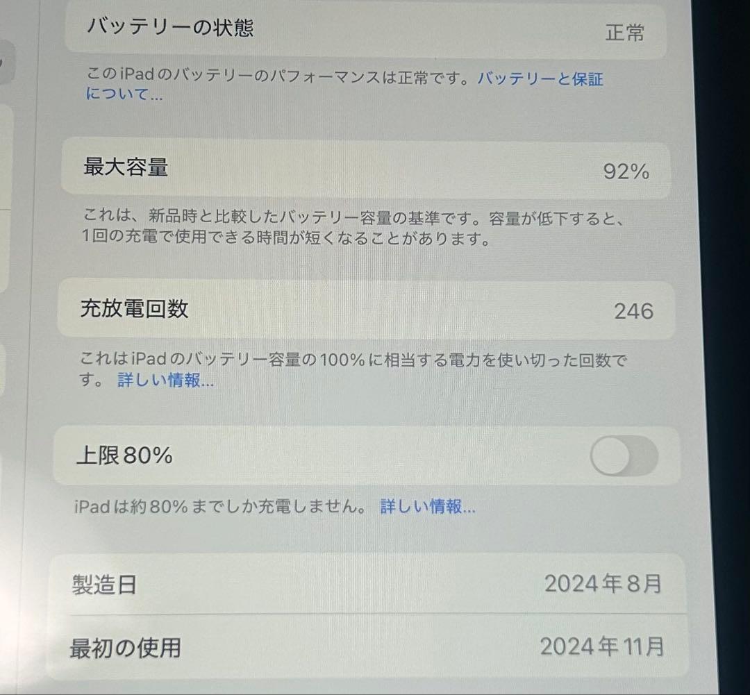 べ*こ様 11インチiPad Air WiFiモデル256GBブルー