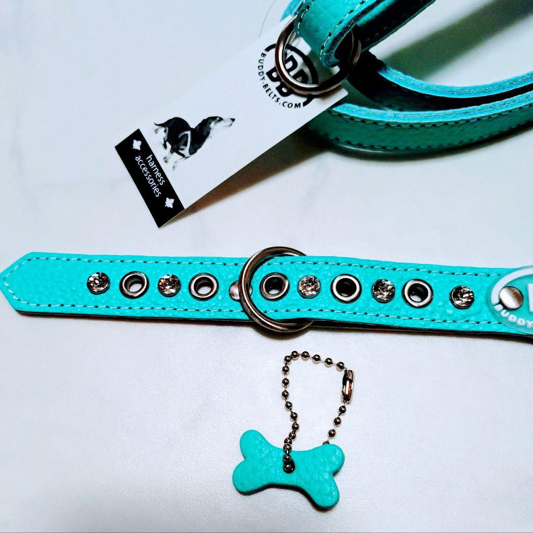 バディーベルト　2点セット ハーネス・リード BUDDYBELT