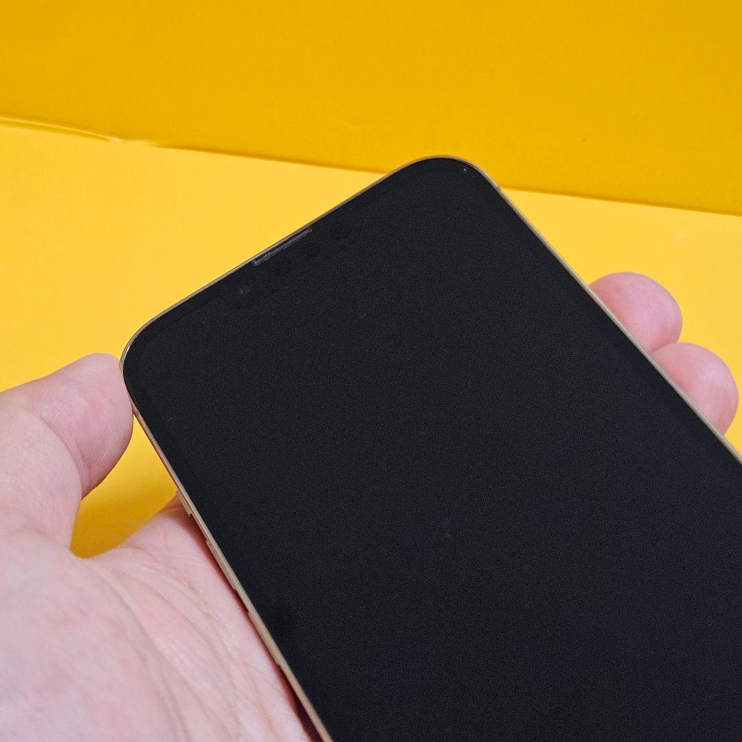 顔面片栗粉様46.8　iPhone 13 Pro 128GB #098