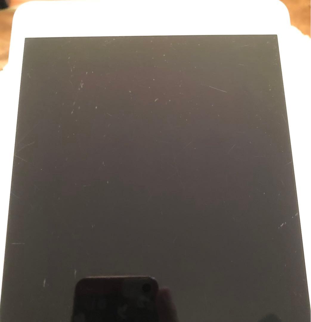 【1/2販売終了】iPad mini5 64GB SIMフリー 【すぐ発送】