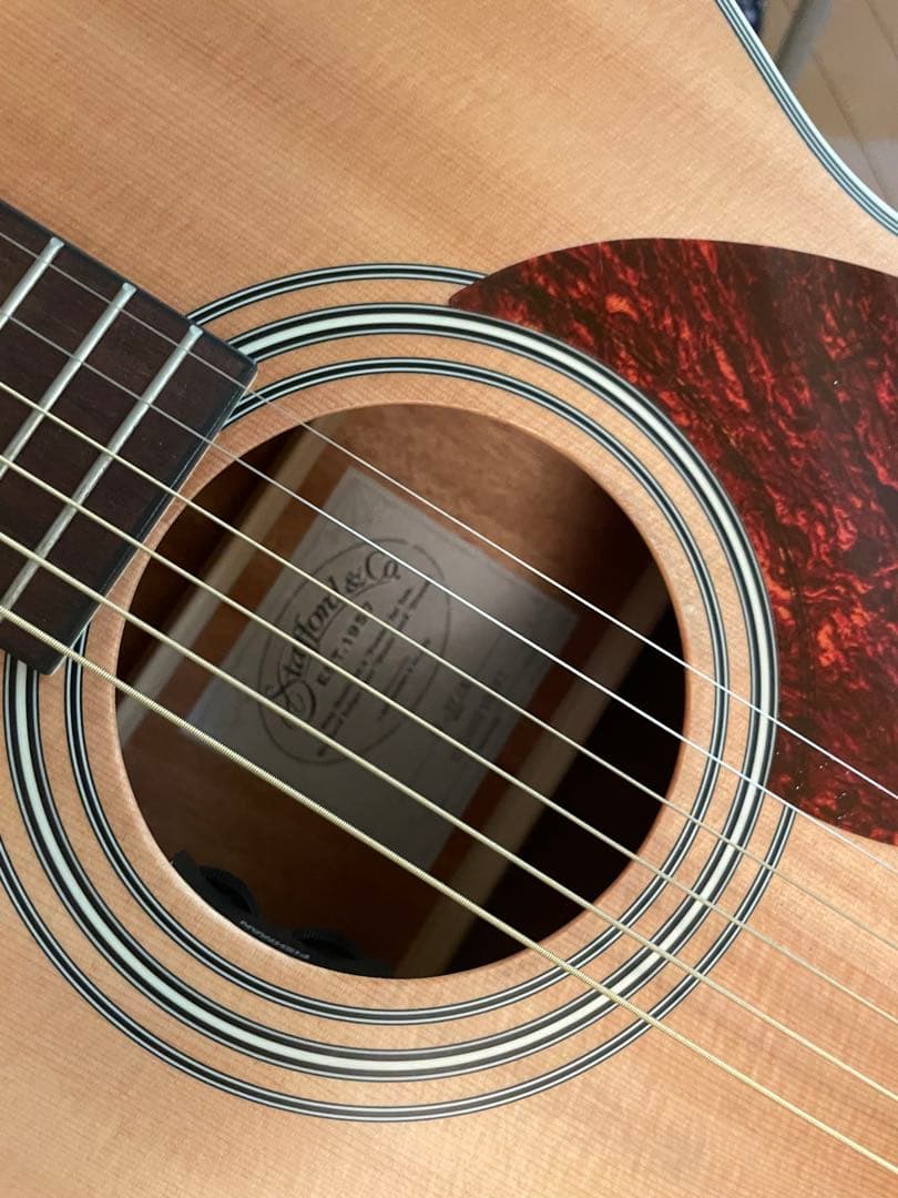 島村楽器スタッフォード SF-3F/NT エレアコ タカミネハードケース付き