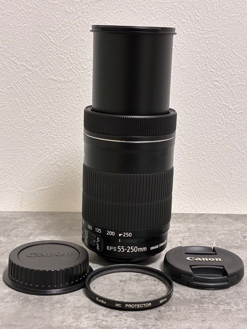 ⭐️美品⭐️Canon EF-S55-250mm IS STM 望遠レンズ
