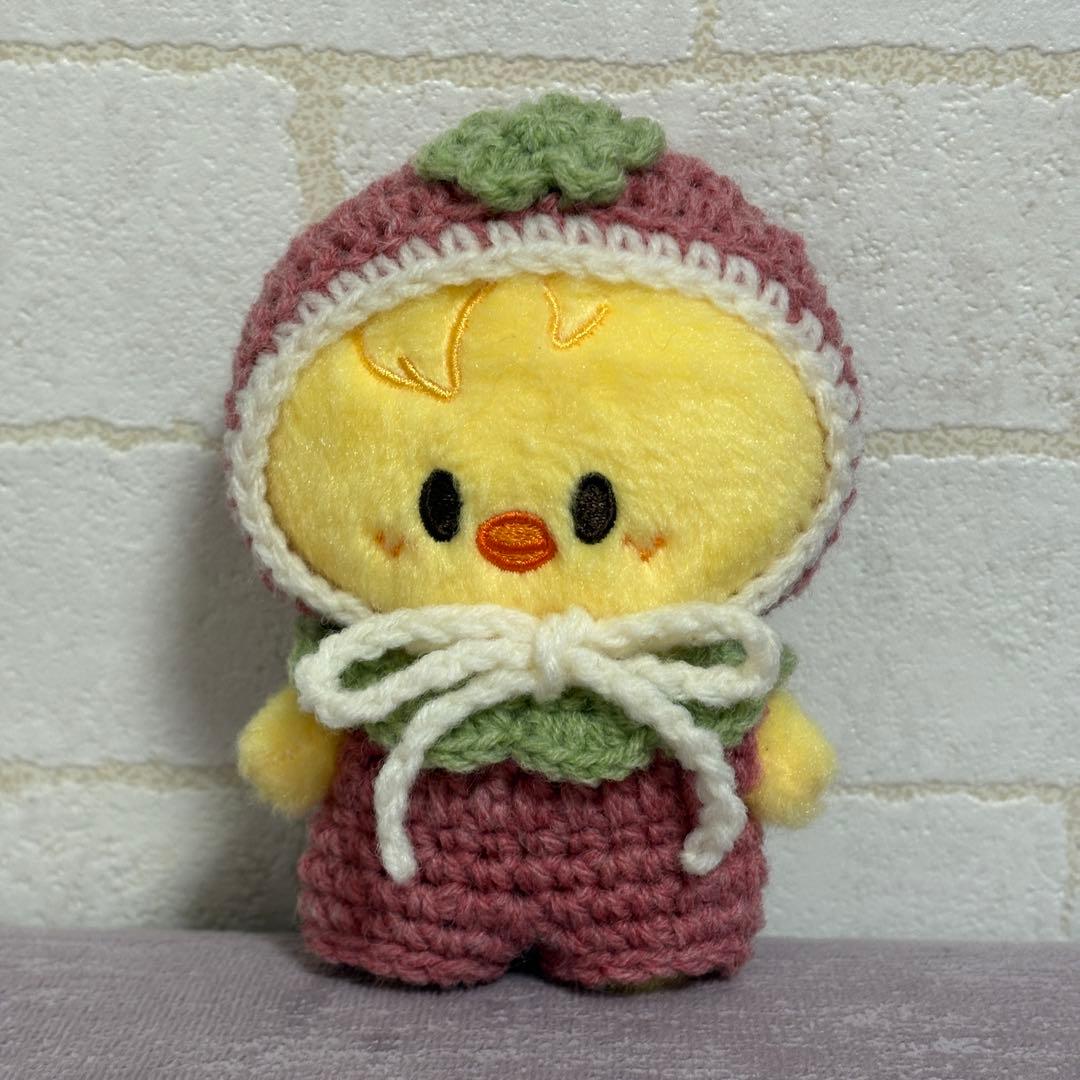 あひるのこ様　skzoo 10cm ぬいぐるみ　ぬい服　straykids