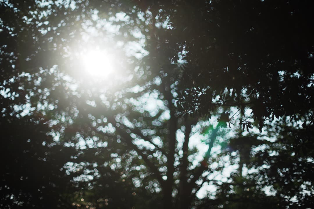 【美品】動作◎ ニコン Ai Nikkor 50mm F1.2 124