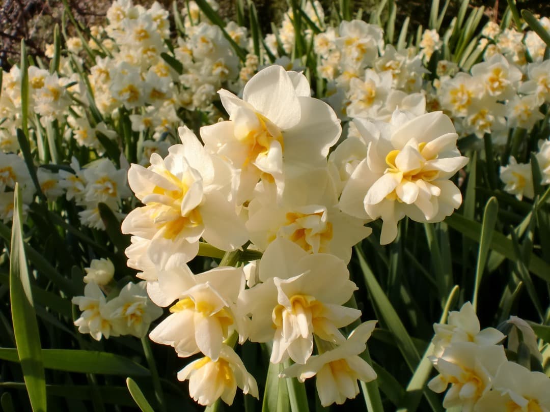 実写美⭕️【動作確認済み】CASIO EXILIM EX-Z90　ゴールド