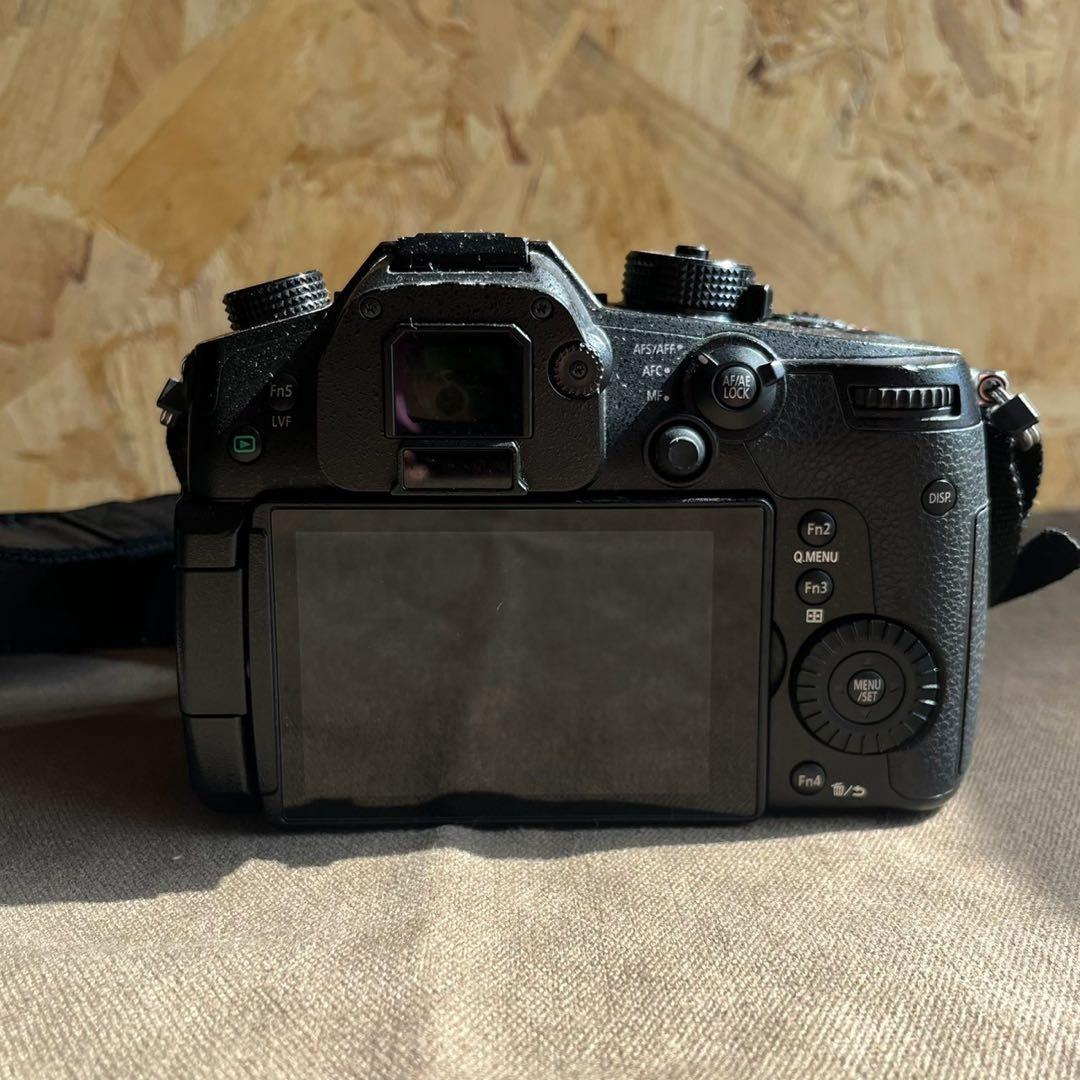 Panasonic LUMIX GH5 ボディ DC-GH5