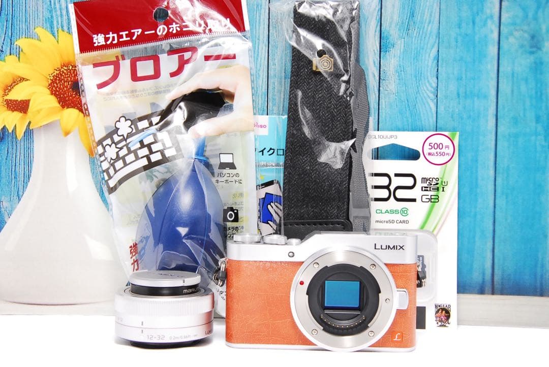 【ショット数611回】LUMIX GF9 SNS Wi-Fi チルト ミラーレス