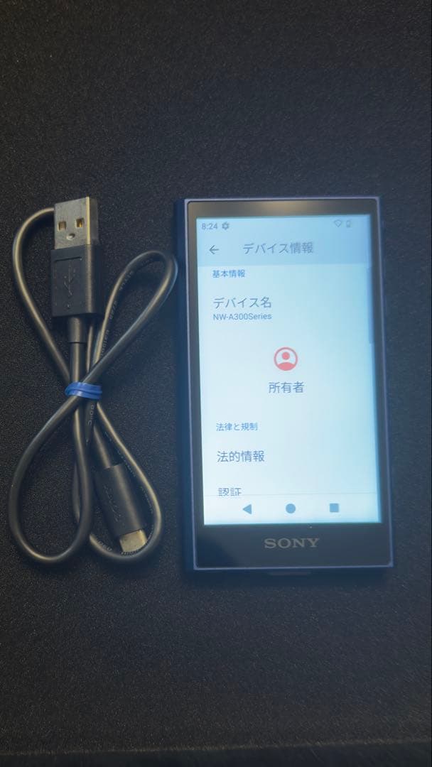 SONY NW-A306デジタルオーディオプレーヤー
