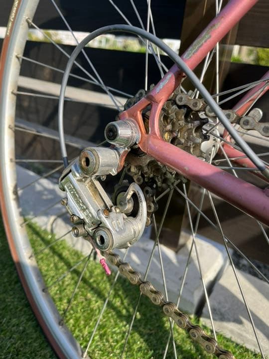 ツノダサターン