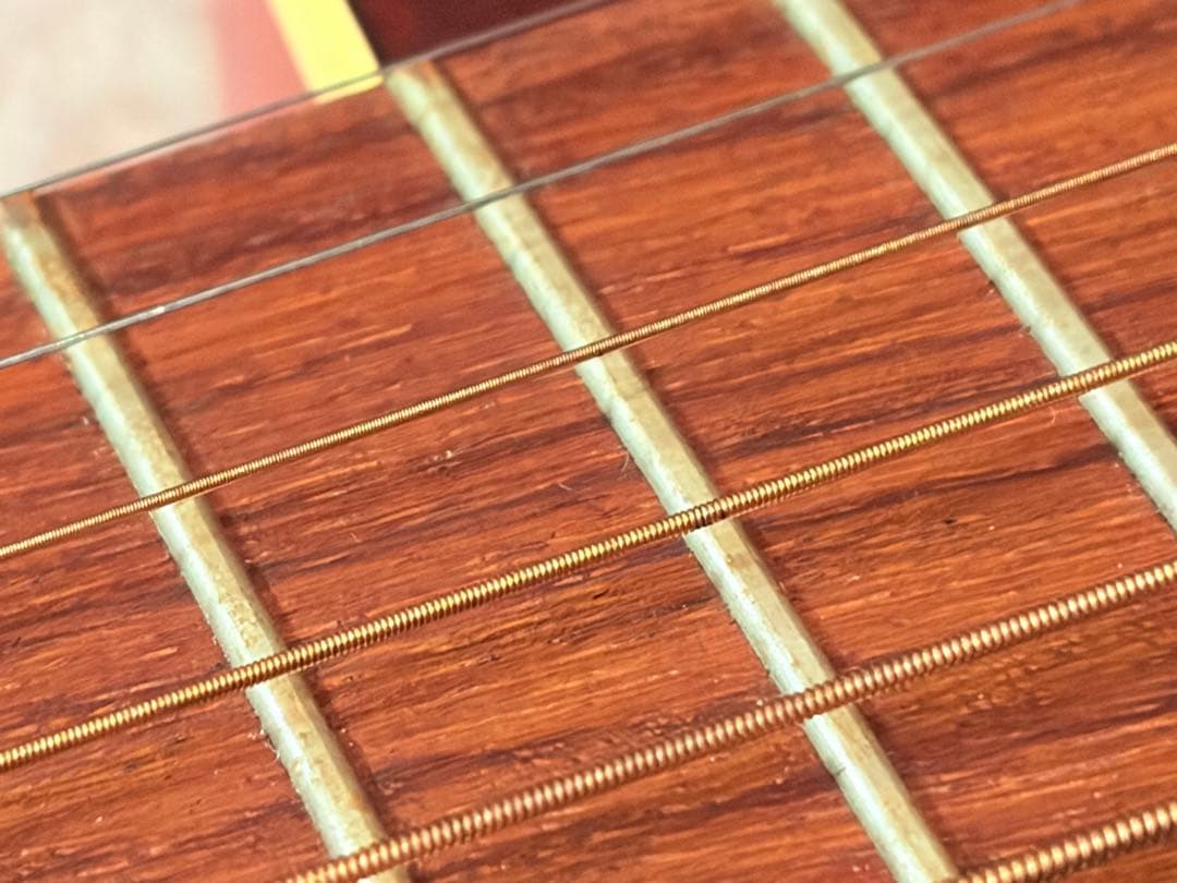 アコースティックギター （エレアコ）Art & Lutherie