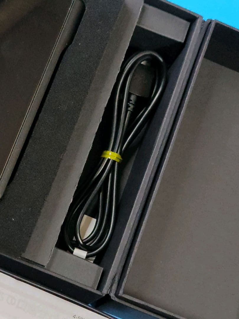 SONY WALKMAN NW-WM1A + 純正本革ケース