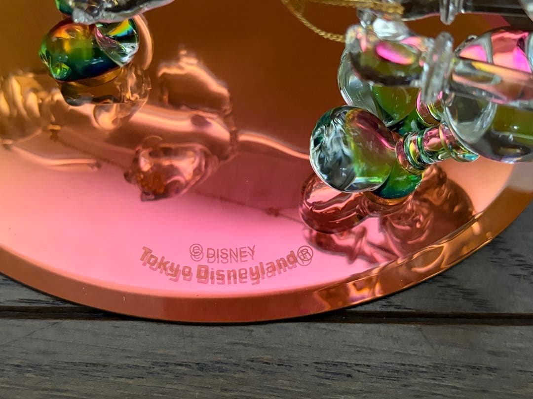 東京ディズニーランド　MICKEY & PLUTO Running