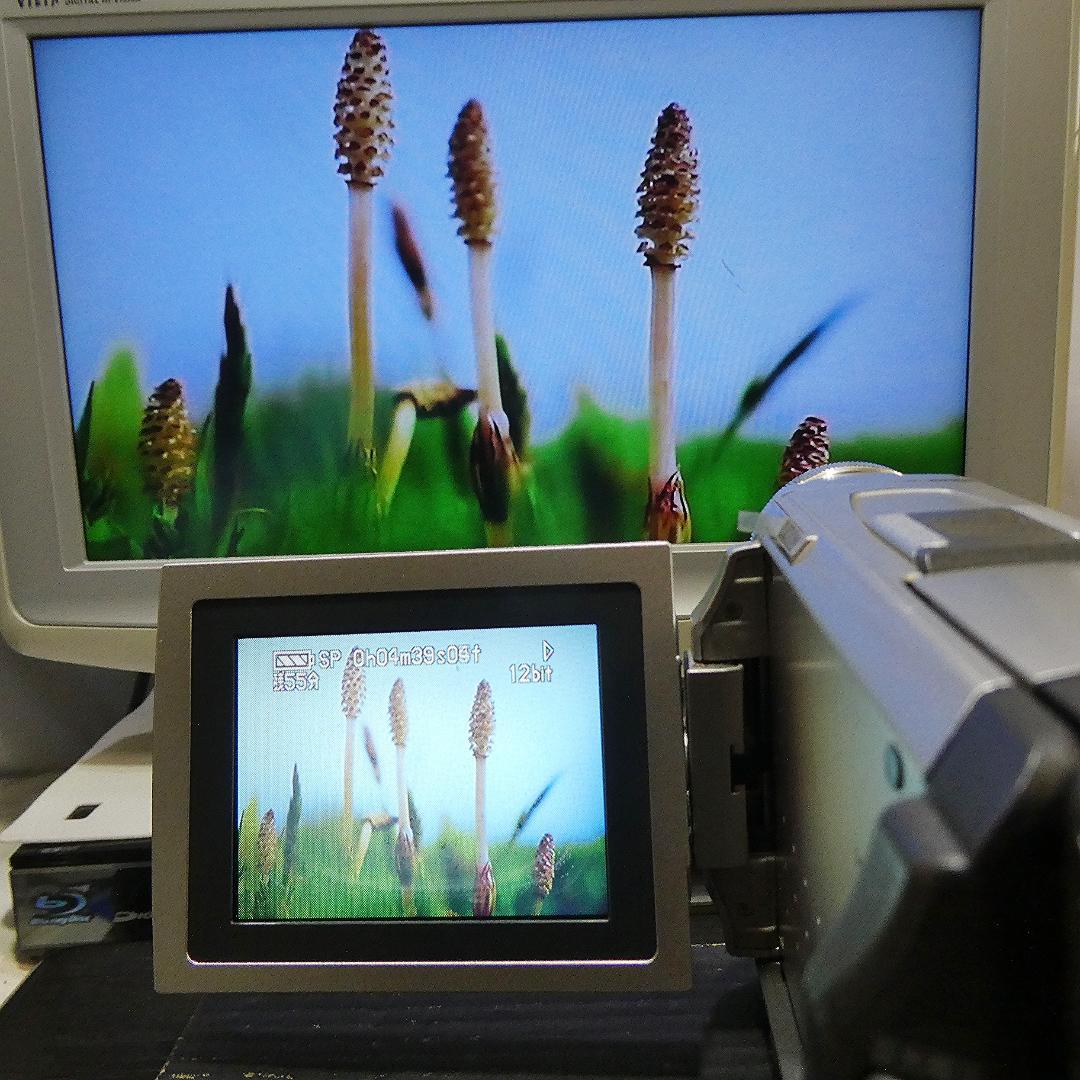 動作良好 パナソニック NV-DS1 MiniDVビデオカメラ ダビングに最適