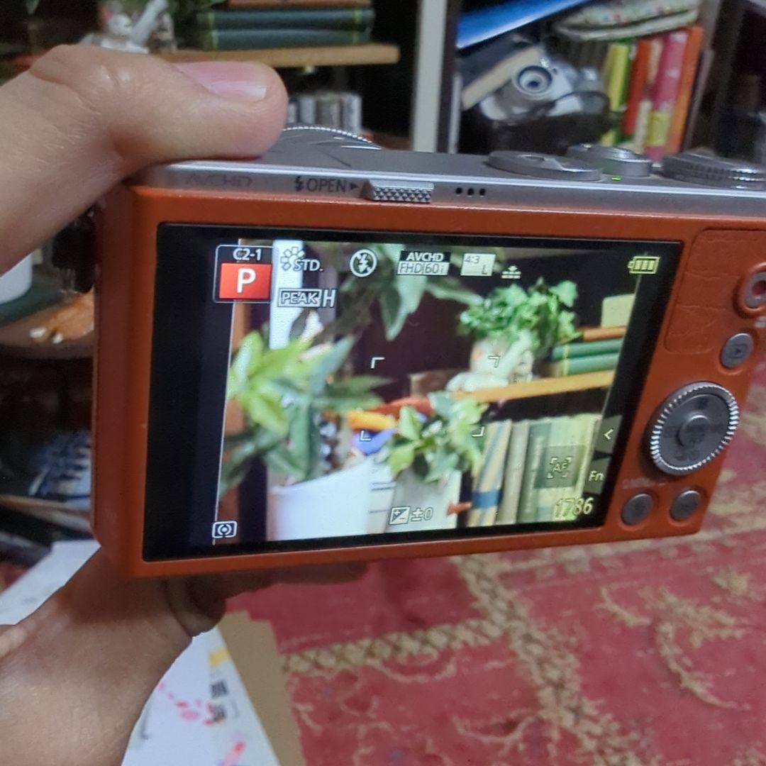 LUMIX　DMC-GM1