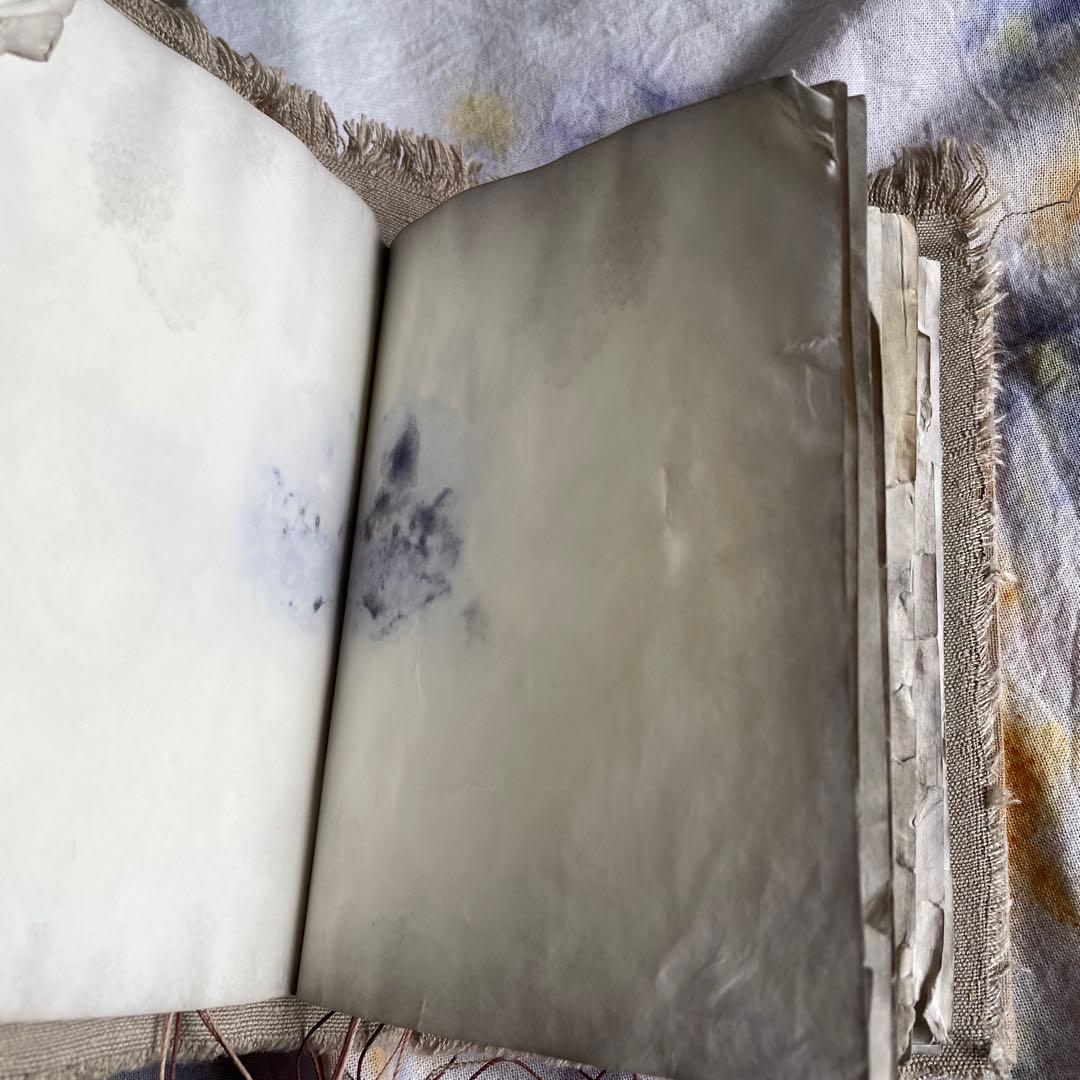 7月20日　ぱおら様2冊　「花ゲリラの本」　 「襤褸の本13〜路地裏の本2〜」