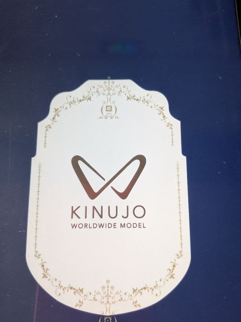 KINUJO DS200-BK ストレートヘアアイロン