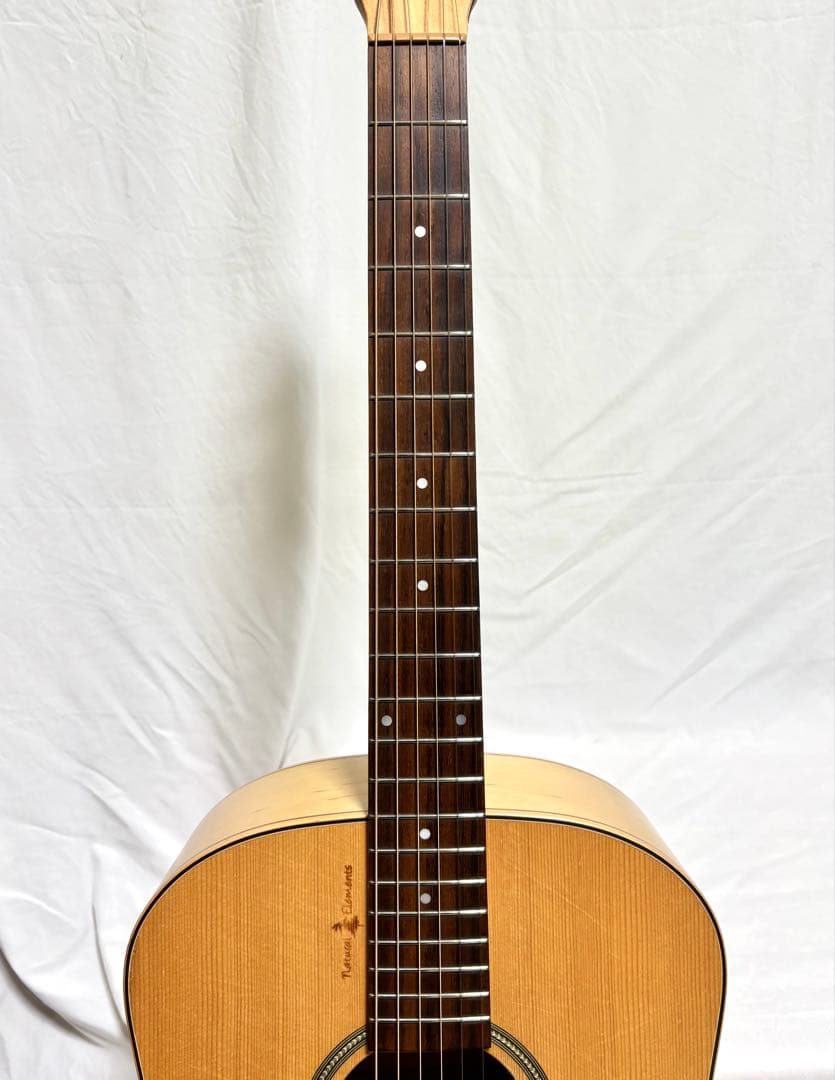 【新品弦張替済】Seagull エレアコ Amber Trail SG T35