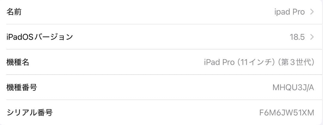 ipadPro11インチ第3世代容量256