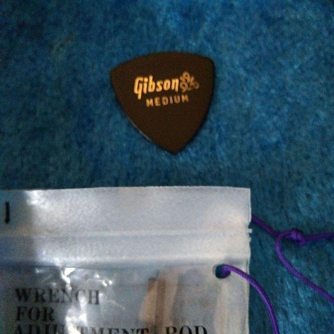 Yamaha FG-301Bアコースティックギター ハードケース付き