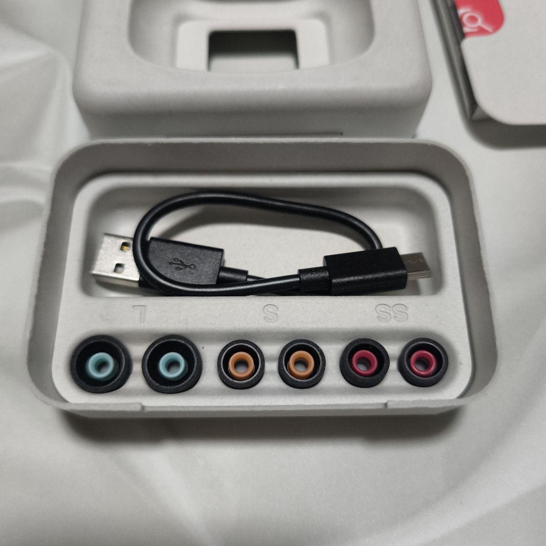 美品ケース付 SONY WF-1000XM5 ワイヤレスイヤフォン