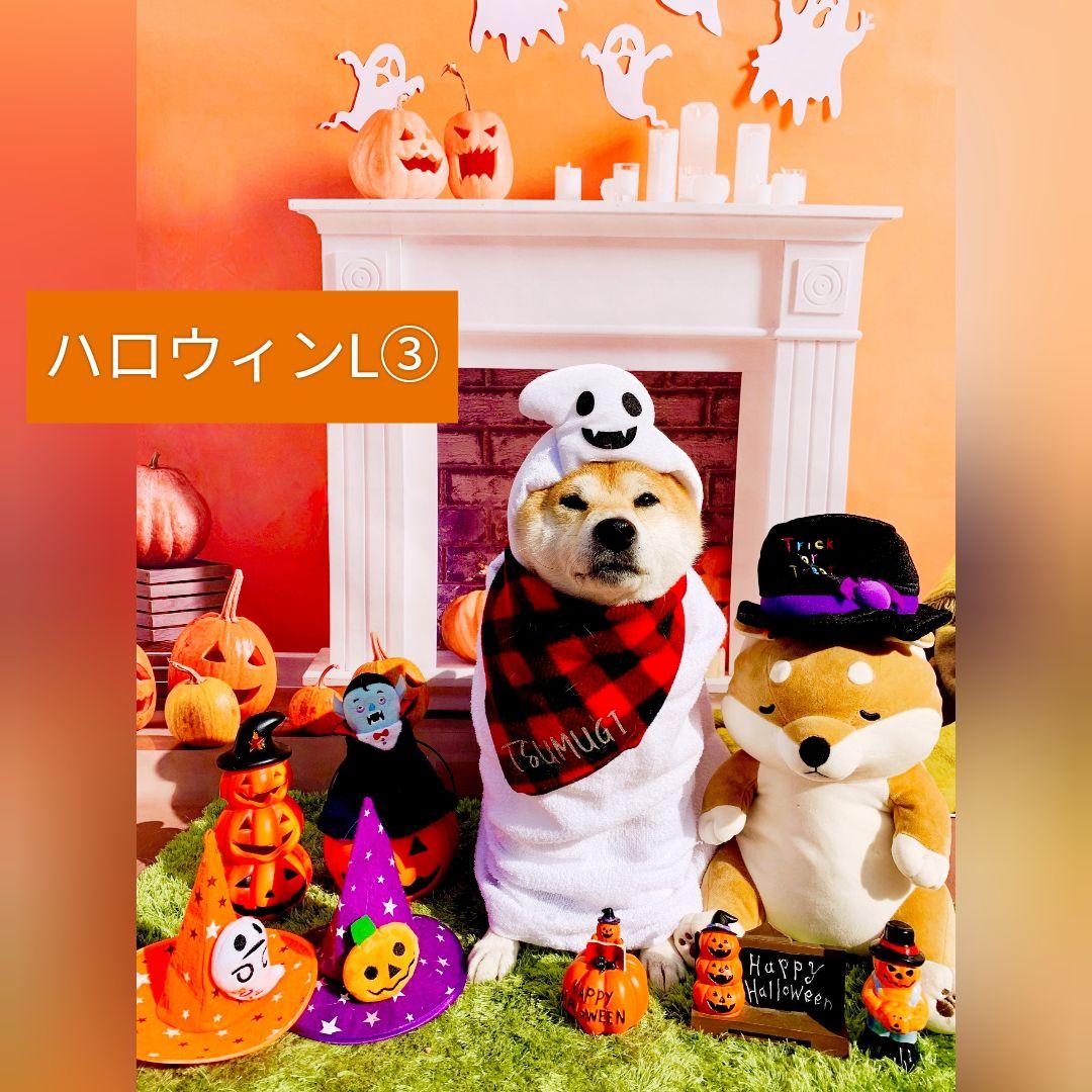 背景布　【　秋B　】　サンプル　ニューボーンフォトなどに♪