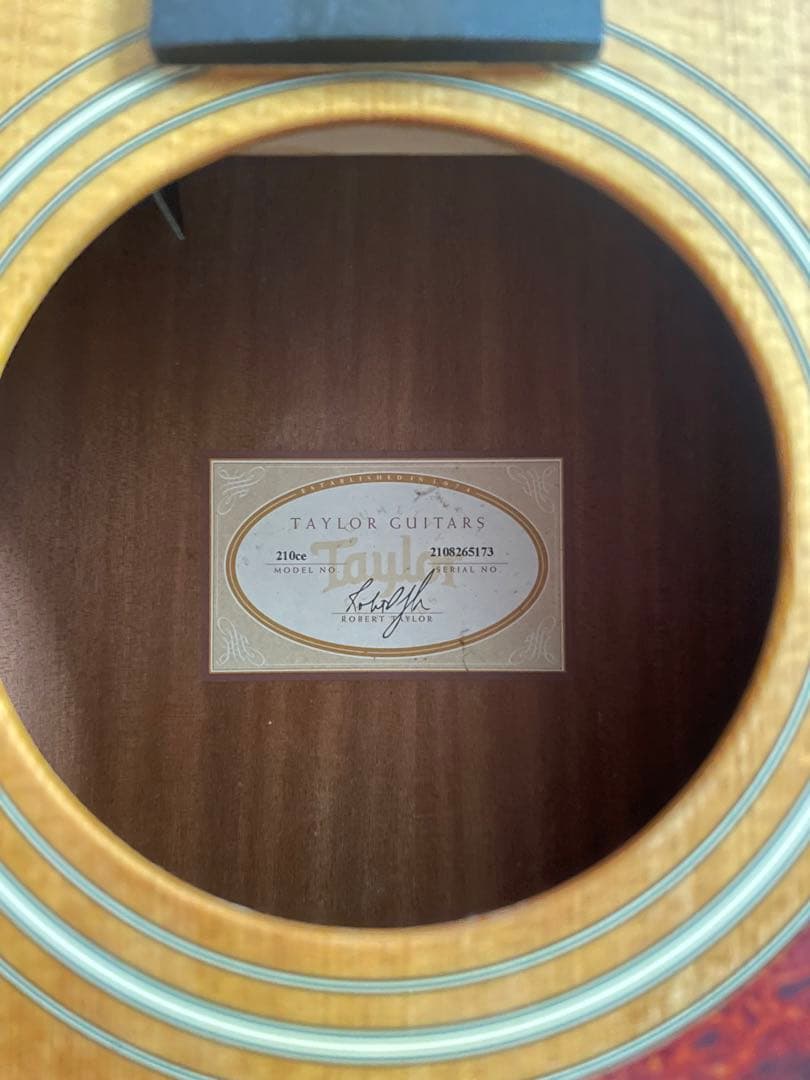 Taylor 210ce ソフトハードケース・新品弦付き