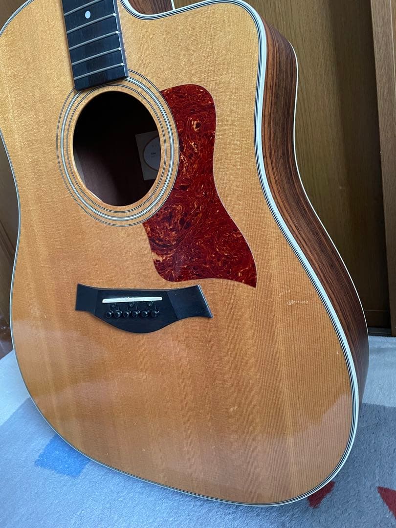 Taylor 210ce ソフトハードケース・新品弦付き