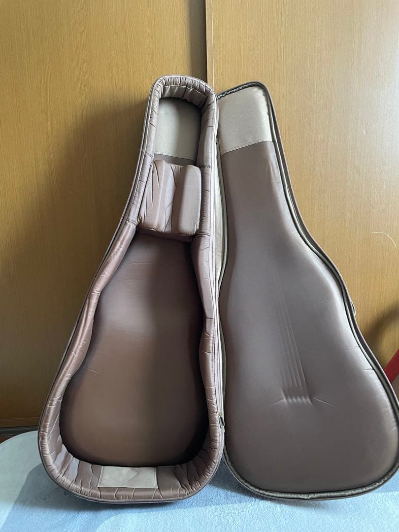 Taylor 210ce ソフトハードケース・新品弦付き