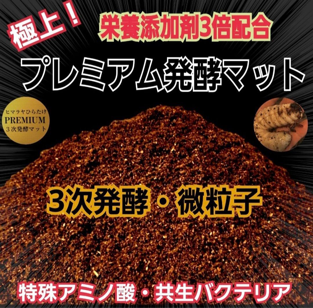 【２セット】カブトムシ幼虫を入れるだけ！プレミアム発酵マット入り㍑ボックス
