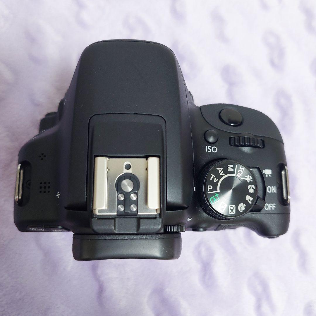 Canon EOS kiss 7x レンズキット おまけ付き