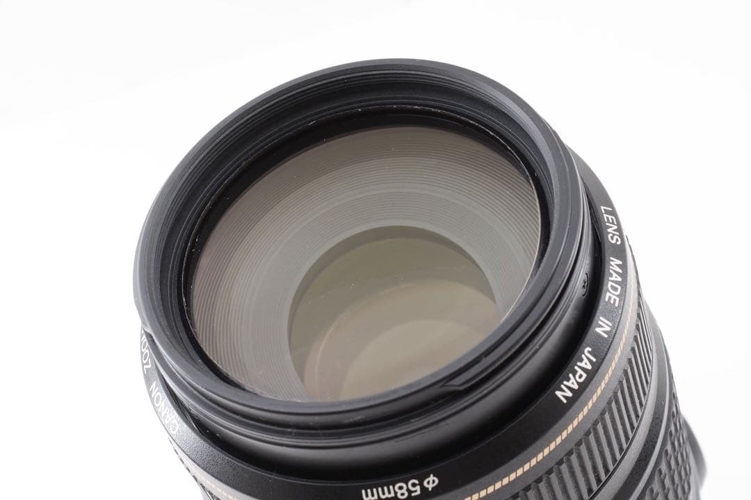 一眼レフCANON EF 75-300mm F4-5.6 IS USM