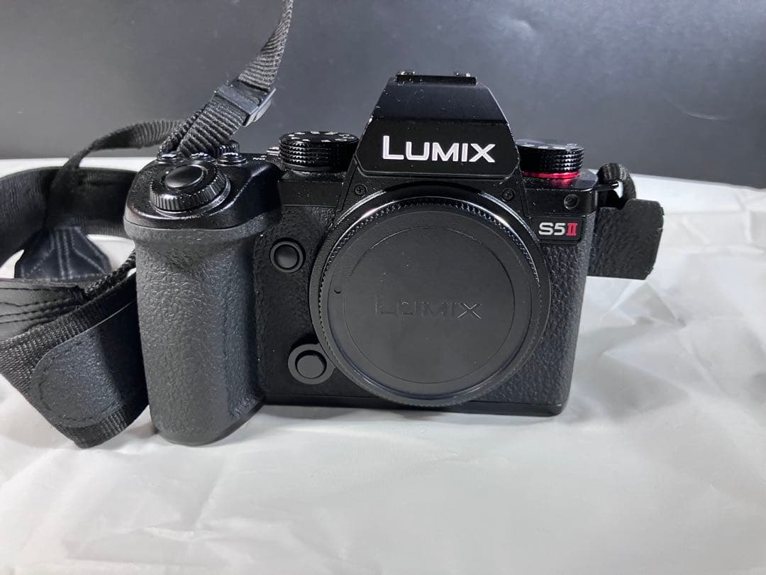 LUMIX ミラーレス一眼カメラ 本体と付属品