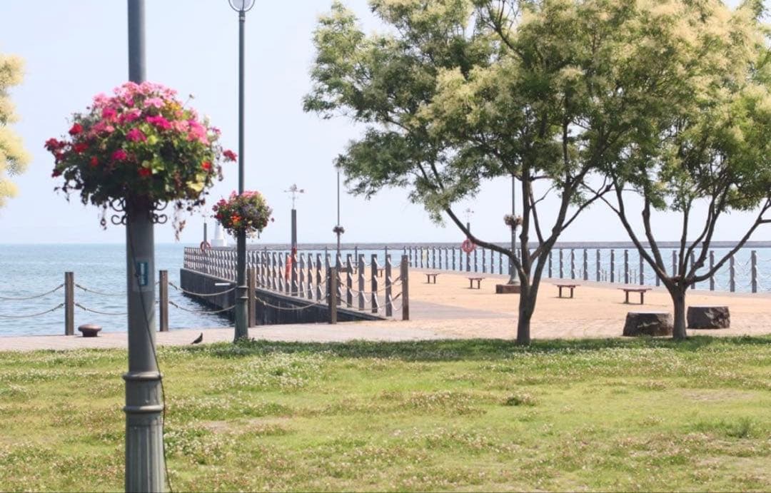 ★ OLYMPUS OM-1 (外箱付) + ★ 標準レンズ 50mm