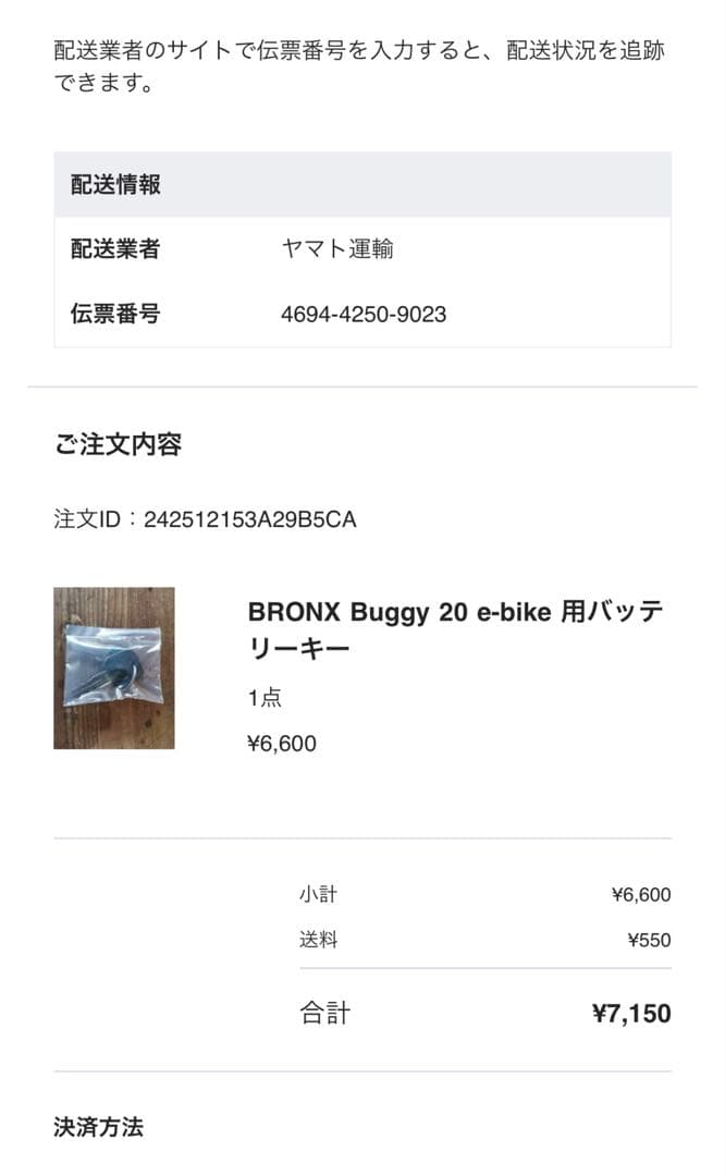 Bronx buggy ブロンクスバギーカスタム 都内受け渡し