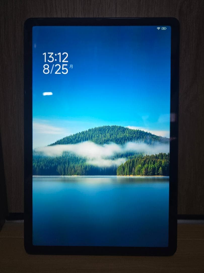 【ほぼ新品：使用10時間】Redmi Pad SE wi-fiモデル