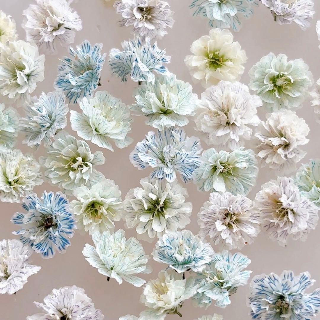 kan___f様 リクエスト　21点 まとめ商品