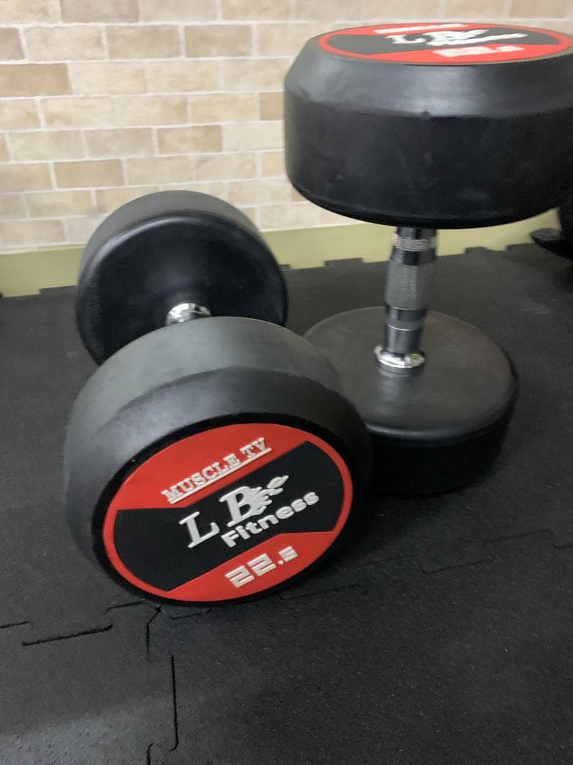 在庫処分特価！LBGYMオリジナル ラバーダンベル 22.5kg × 2個セット