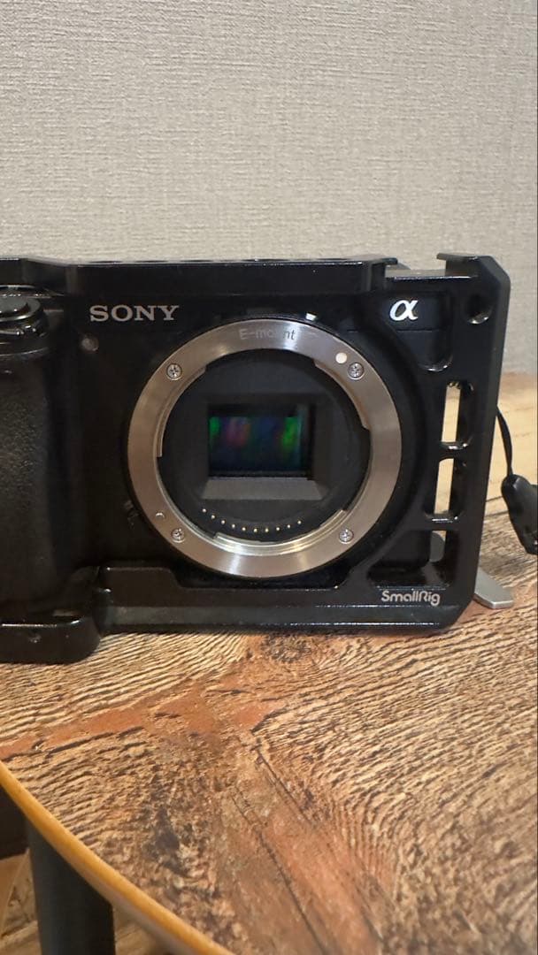 SONYα6300/SONY28-70 f3.5〜5.6 リグ、レンズフィルター