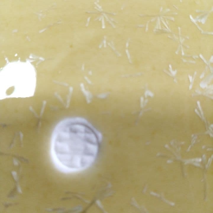 京都陶あん花結晶大皿