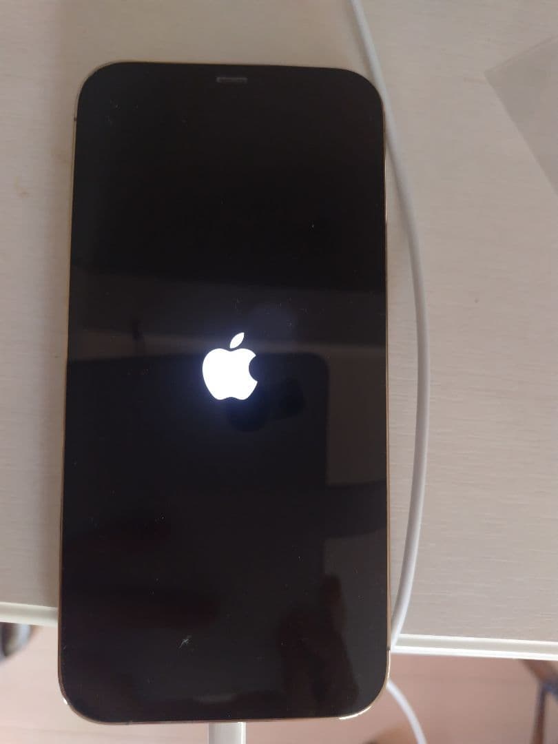 訳あり iPhone12 Pro Max 256GB シルバー ジャンク