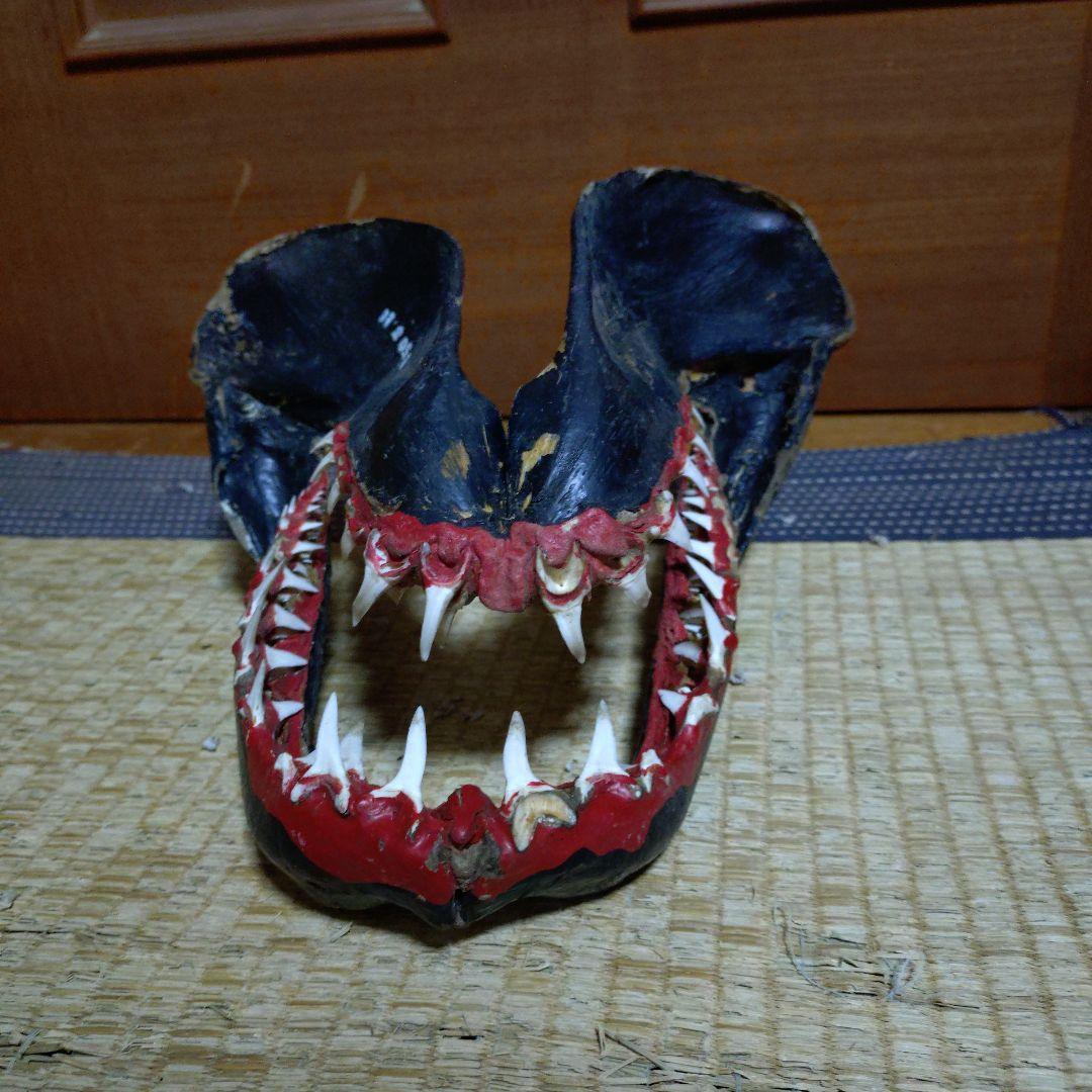 サメ　顎　歯　鮫　インテリア装飾